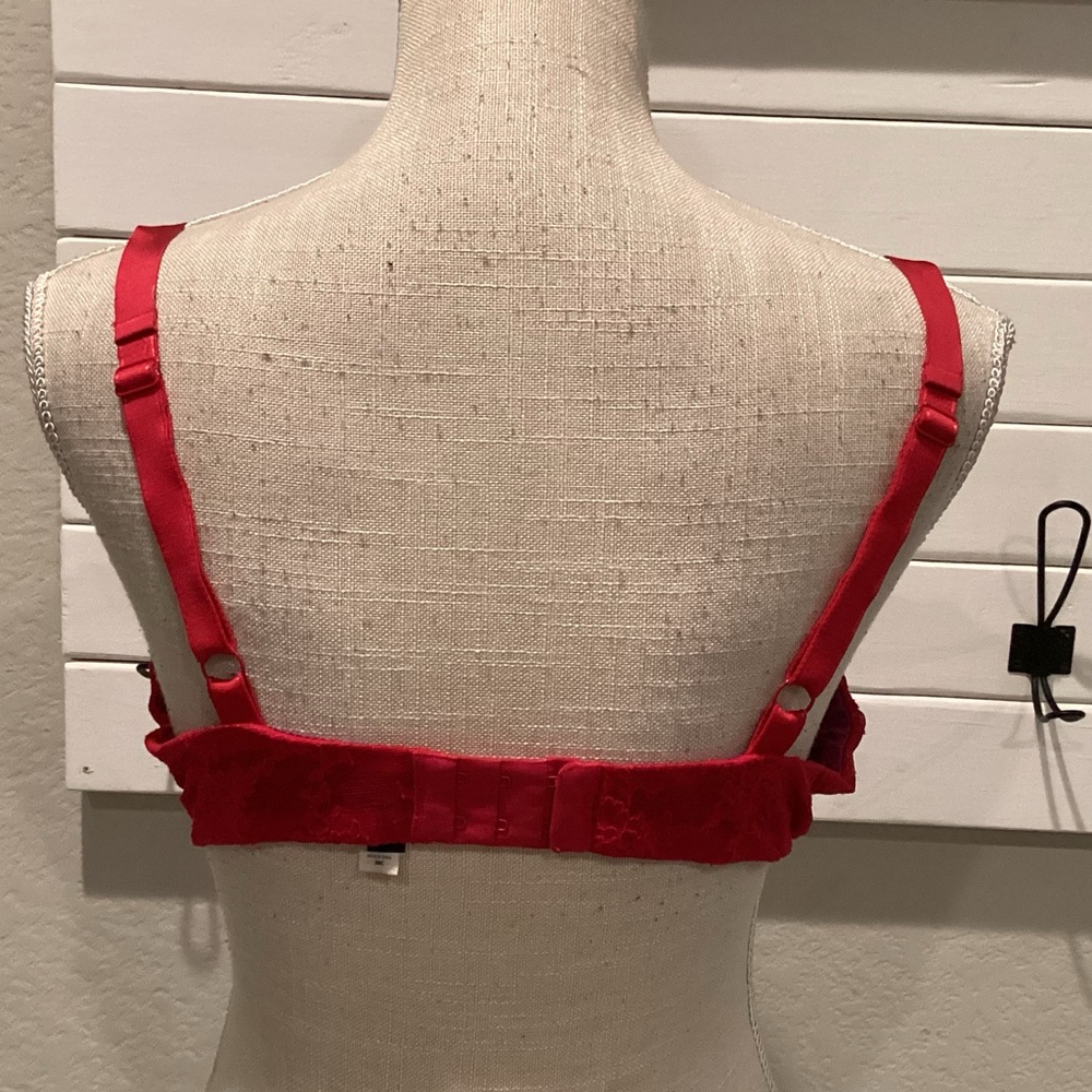 Felina Bra - Picture 4 of 7